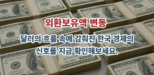 2025년 4월 외환보유액 급감, 그 원인은 일시적 현상?