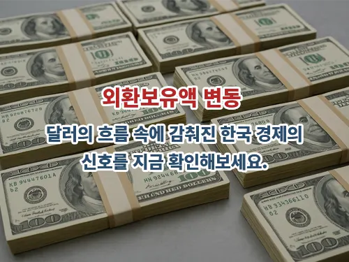 2025년 4월 외환보유액 급감, 그 원인은 일시적 현상? 1 2025년 4월 외환보유액