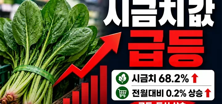 시금치값 급등 68.2%…부추·열무까지 뛰었다, 장바구니 부담