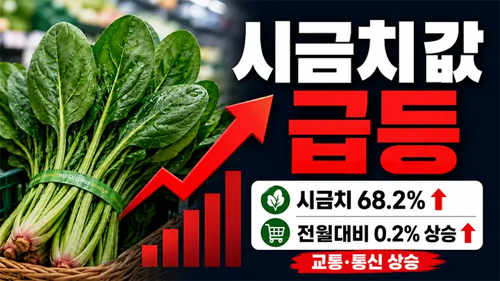시금치값 급등 68.2%…부추·열무까지 뛰었다, 장바구니 부담